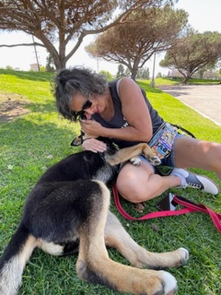 Anita sitting on the grass and cuddling a rescue shepherd