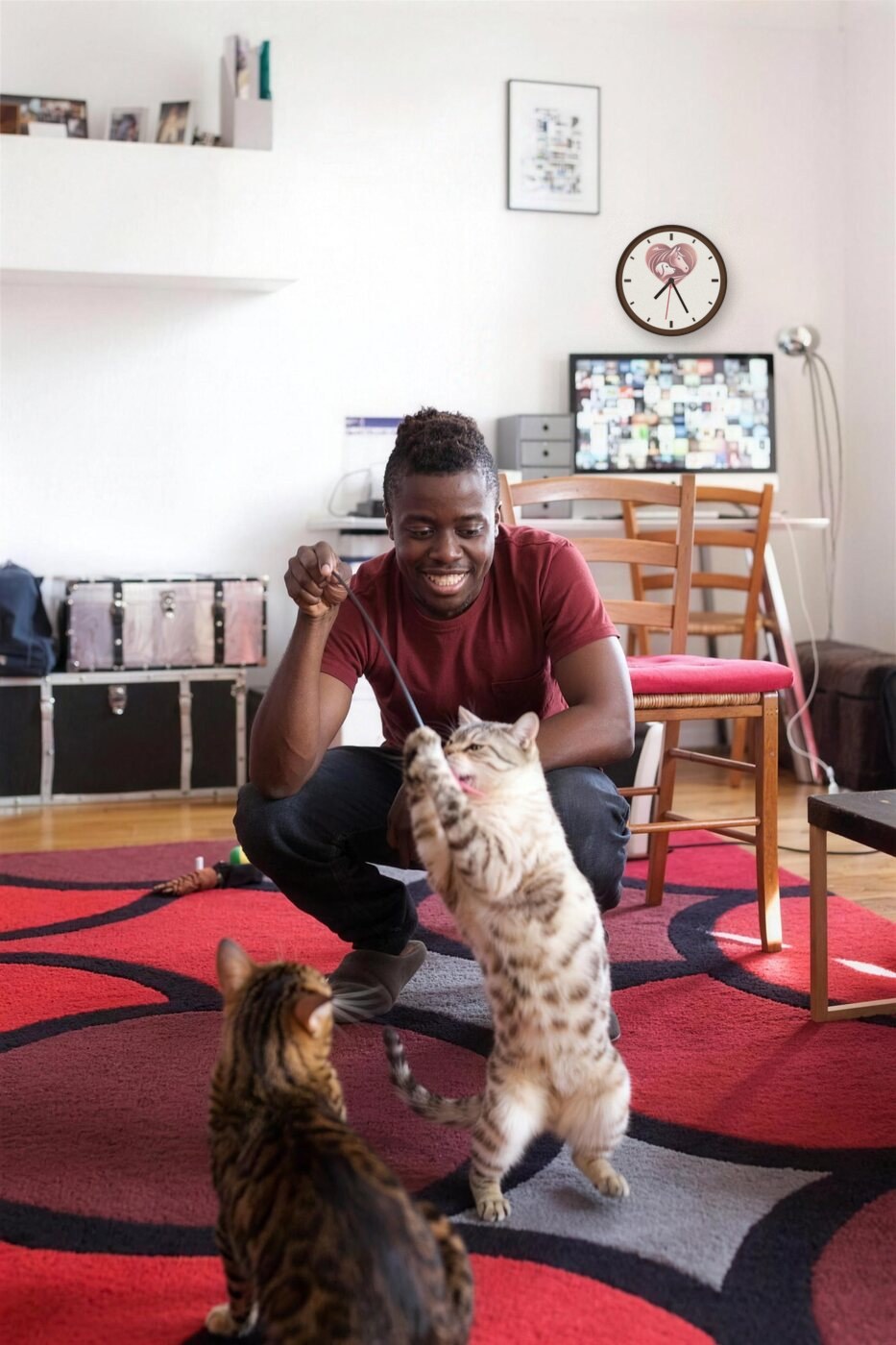 Volunteer playing with two rescue cats, with a Healing Hearts Sanctuary SoCal clock on the wall above the TV